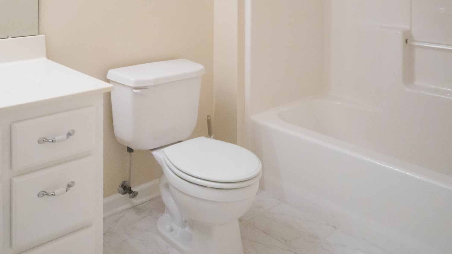 Small white bathroom