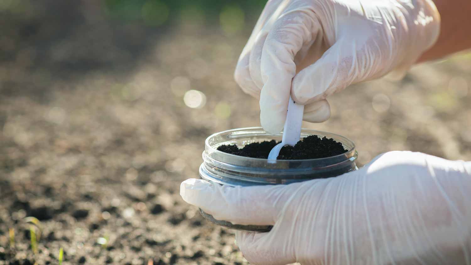 Taking a sample of soil close up