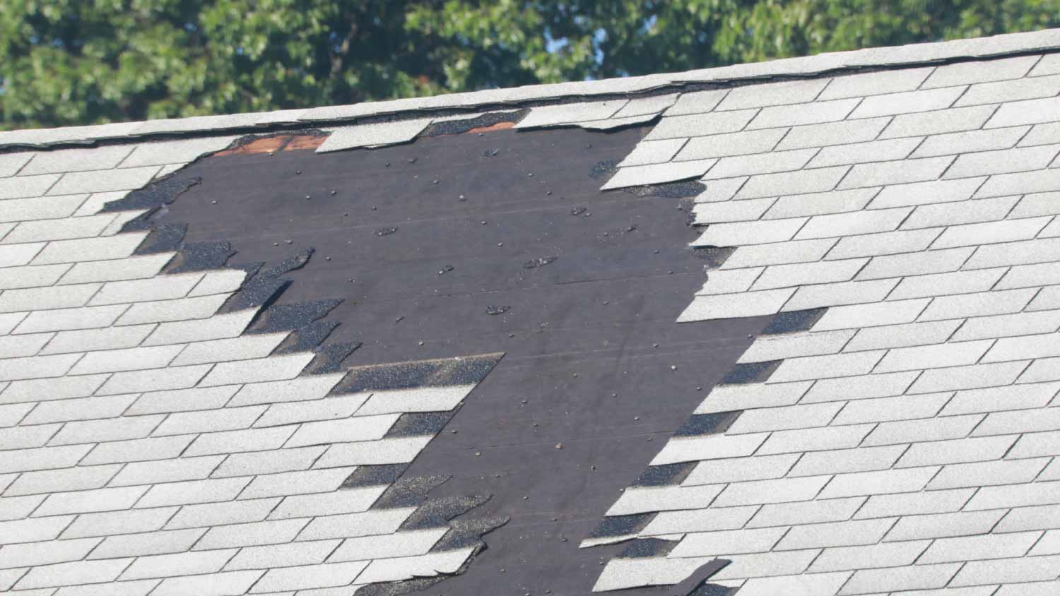 Tearing off old roof shingles