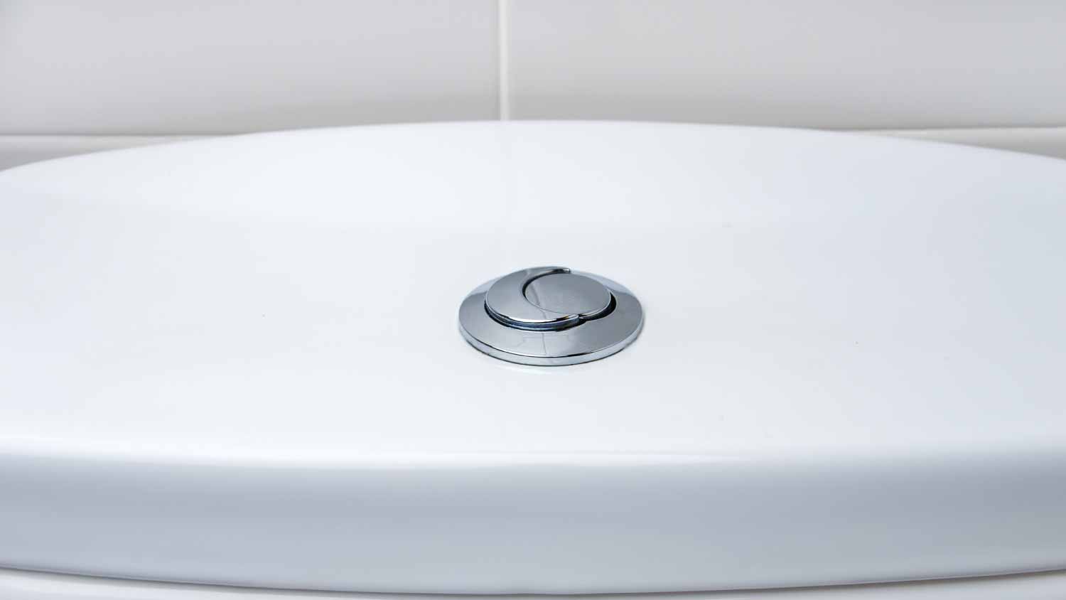 Toilet flush knob