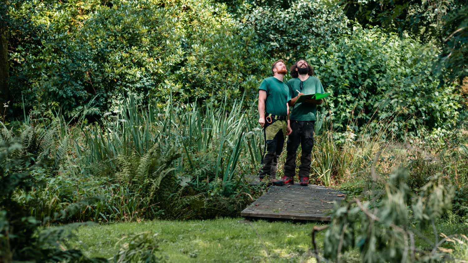 Two landscape gardener looking up