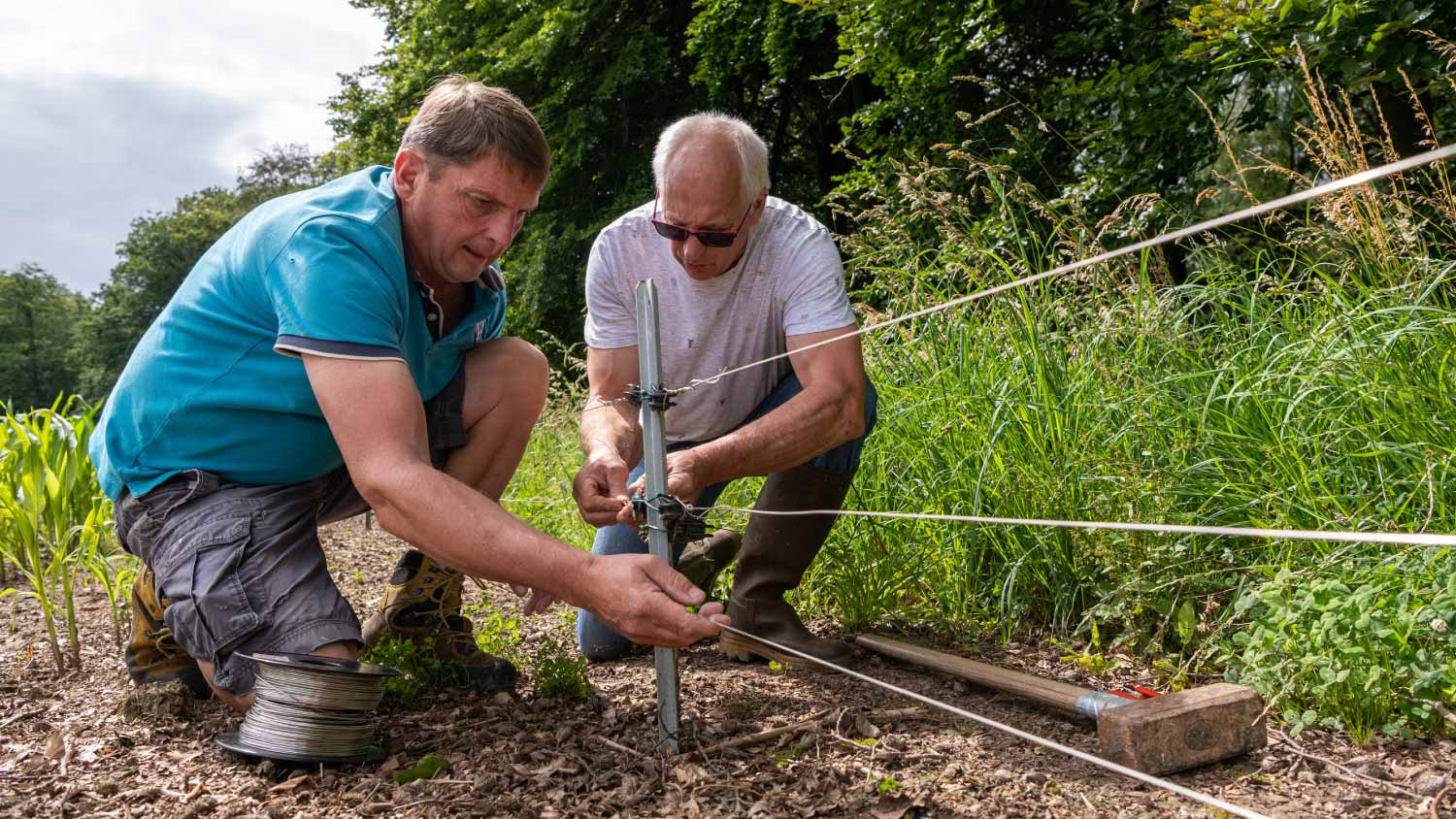 Two men installing an electric fence