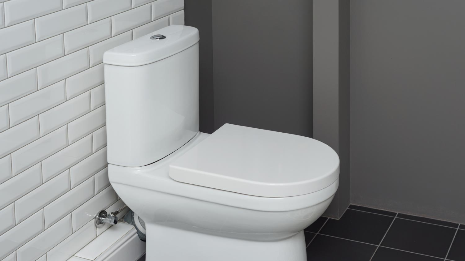 View of toilet bowl in bathroom