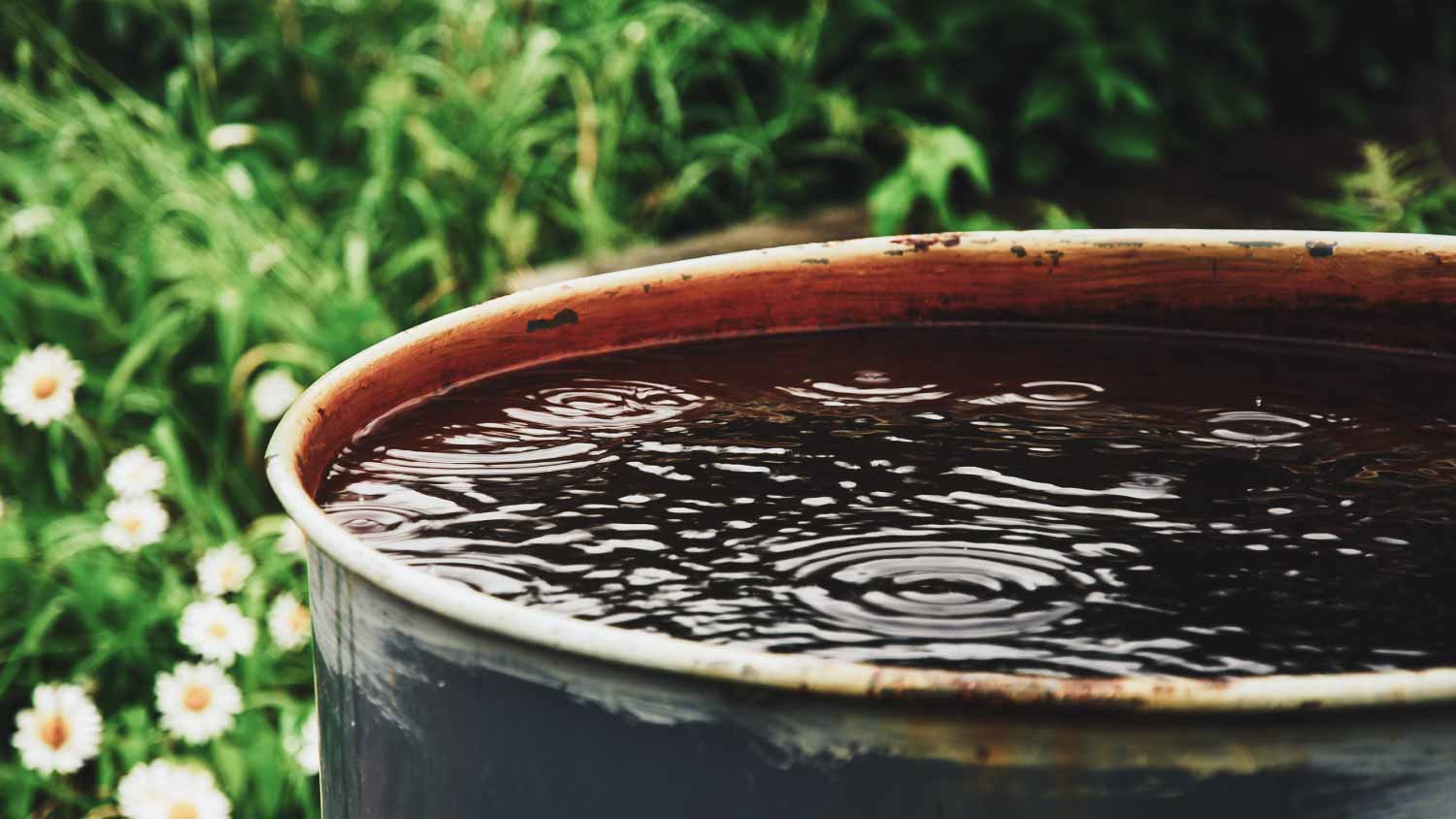 Water barrel for the garden