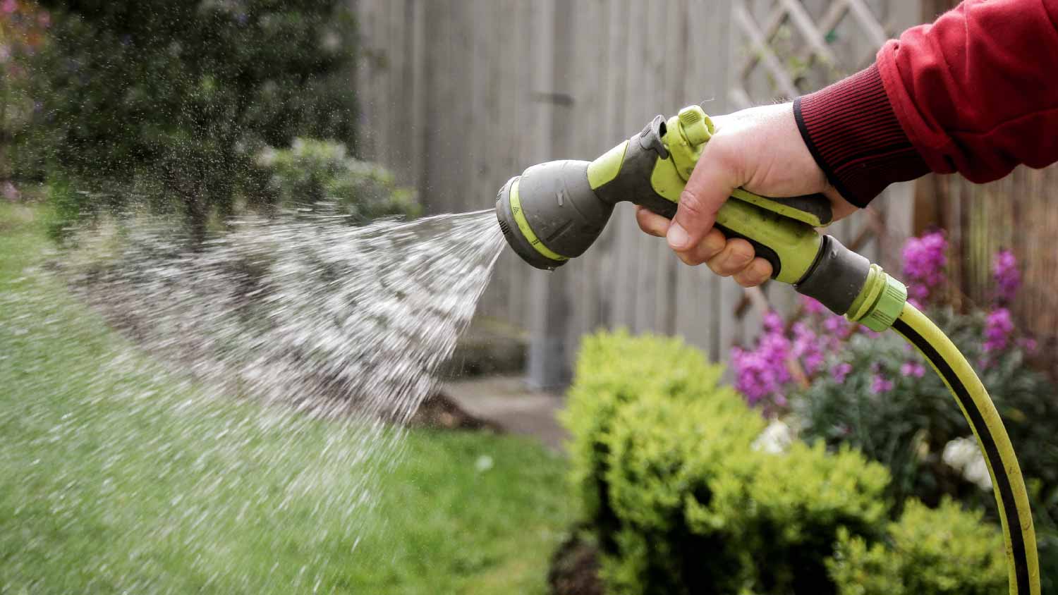 Watering plants in the garden