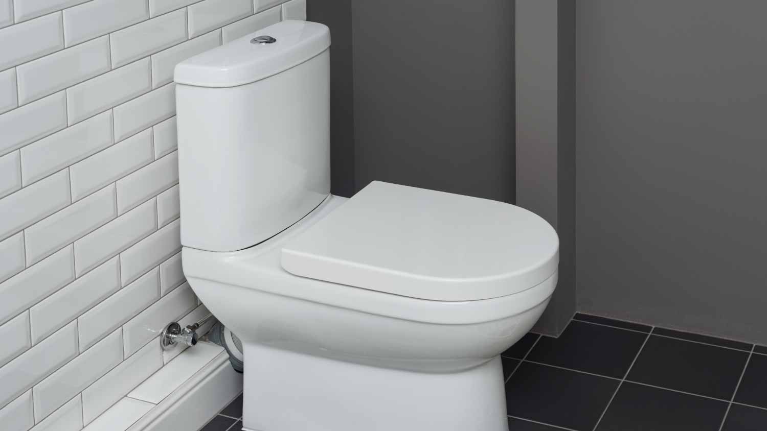 White ceramic toilet bowl