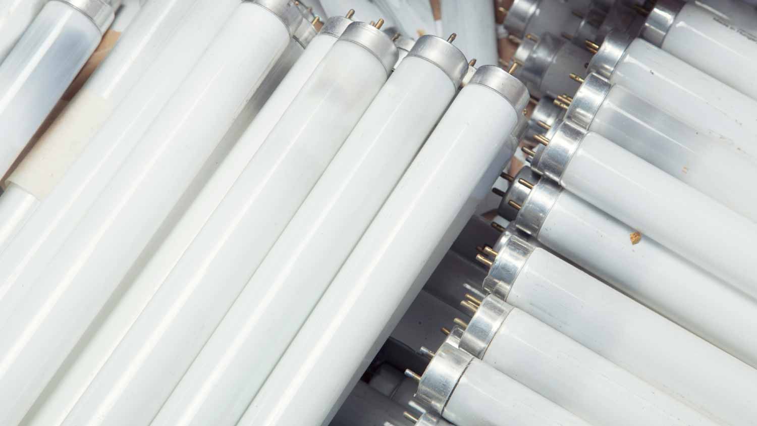 White fluorescent lights