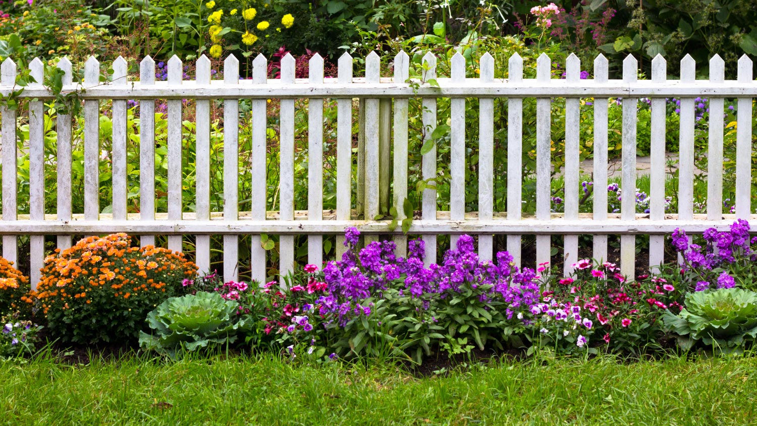 A white picket fence surrounded by garden flowers