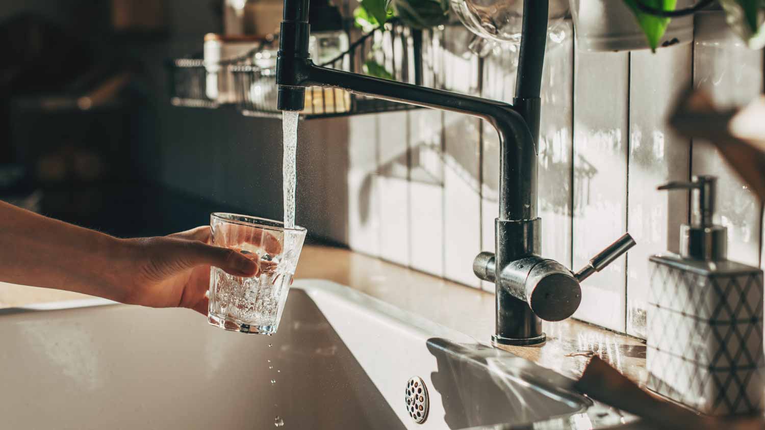 Do You Need a Water Softener for a Tankless Water Heater?