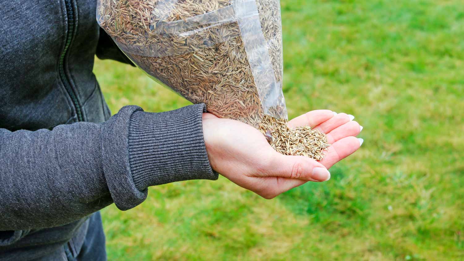 Woman holding seeds