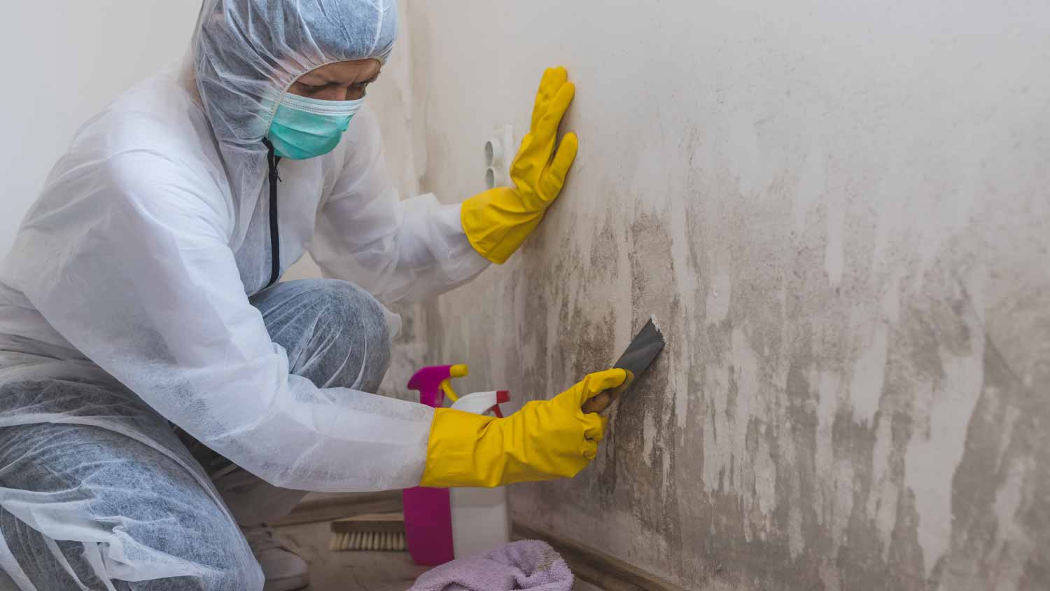 Woman removing mold from wall