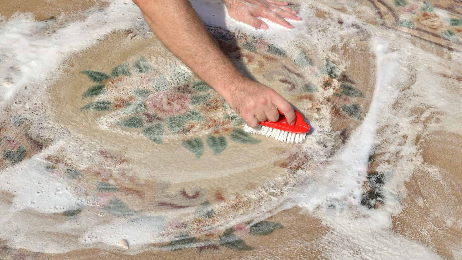 Woman washing carpet with foam