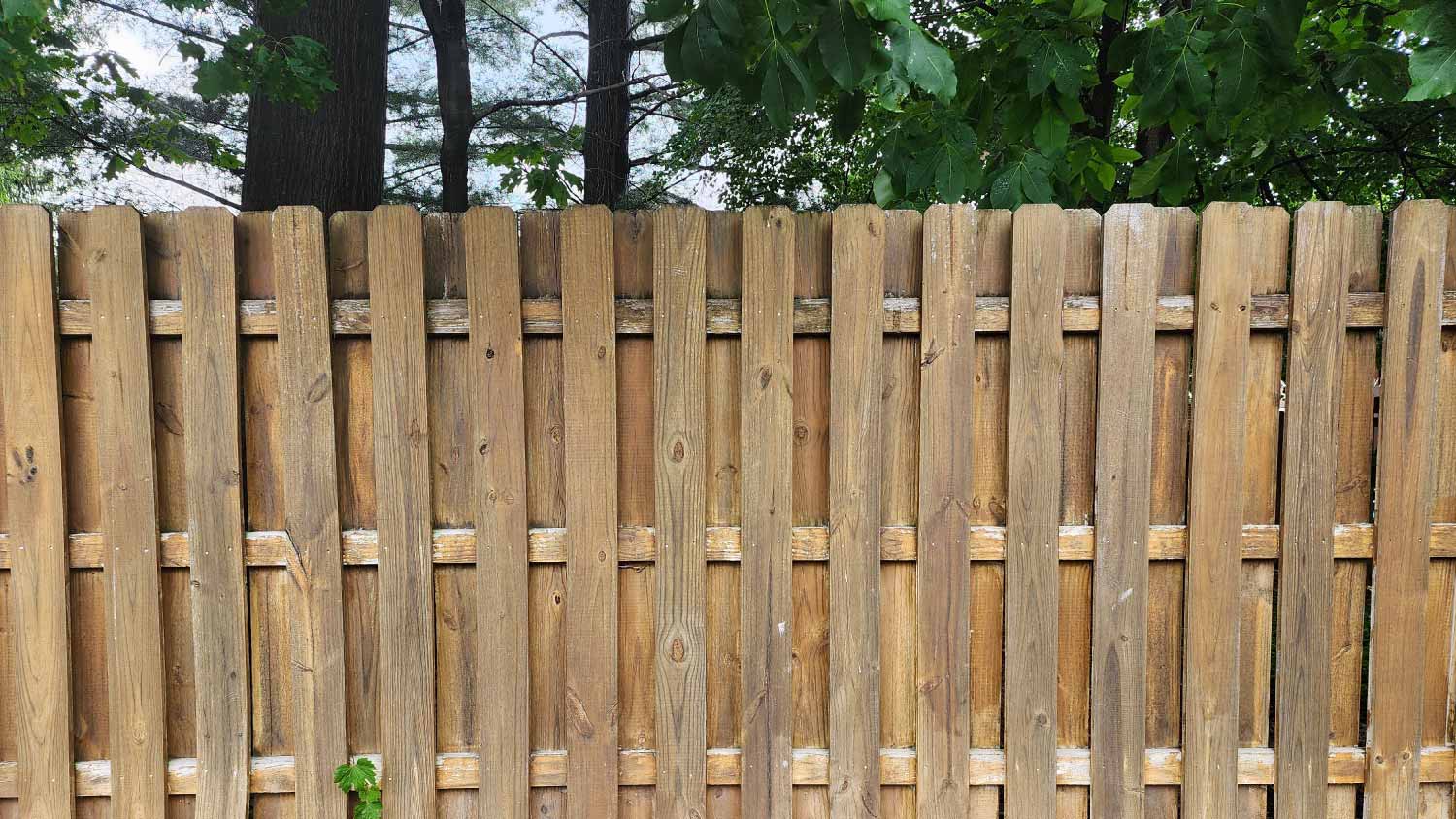 Wooden fence with alternating panels