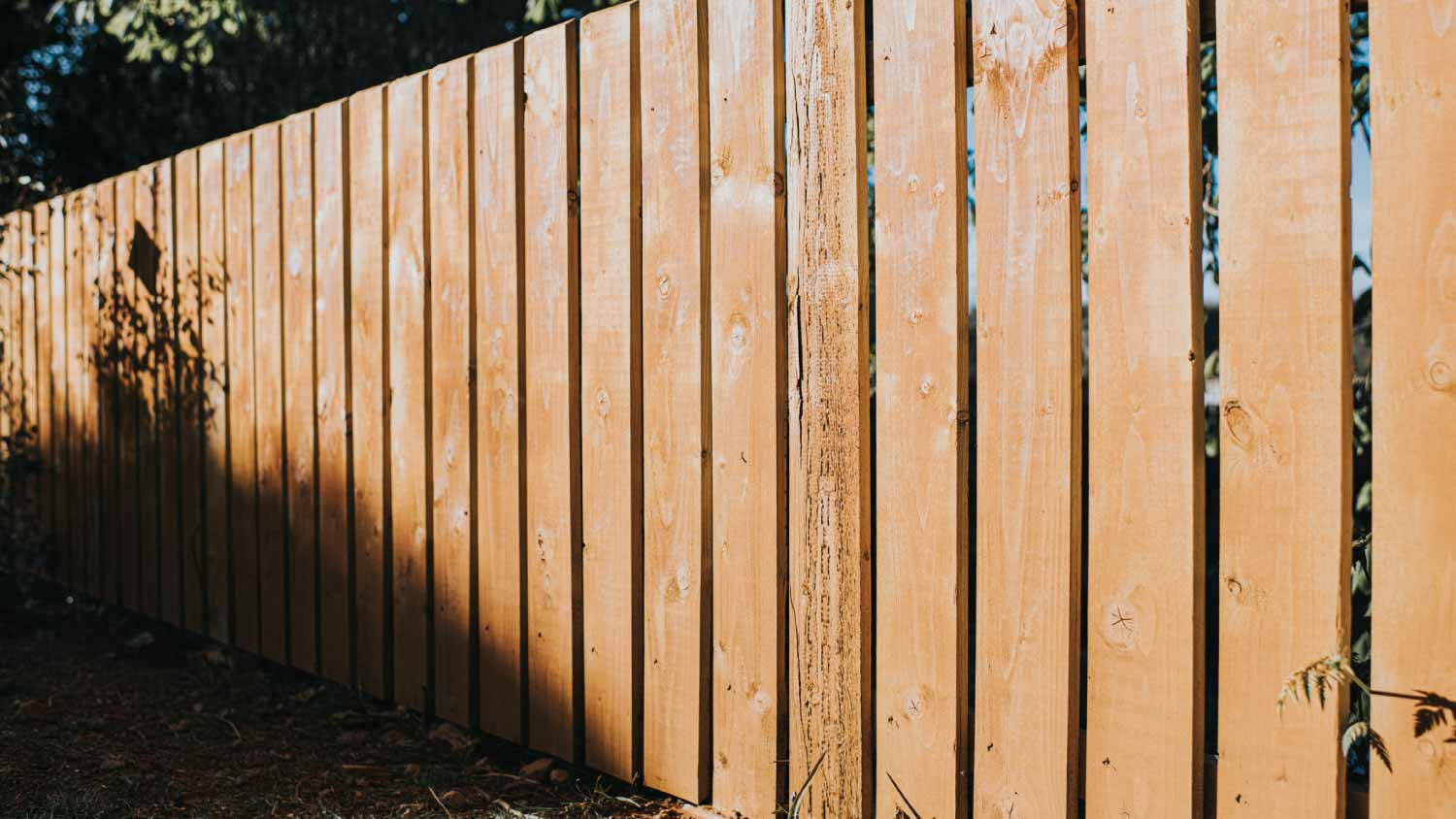 Wooden fence posts