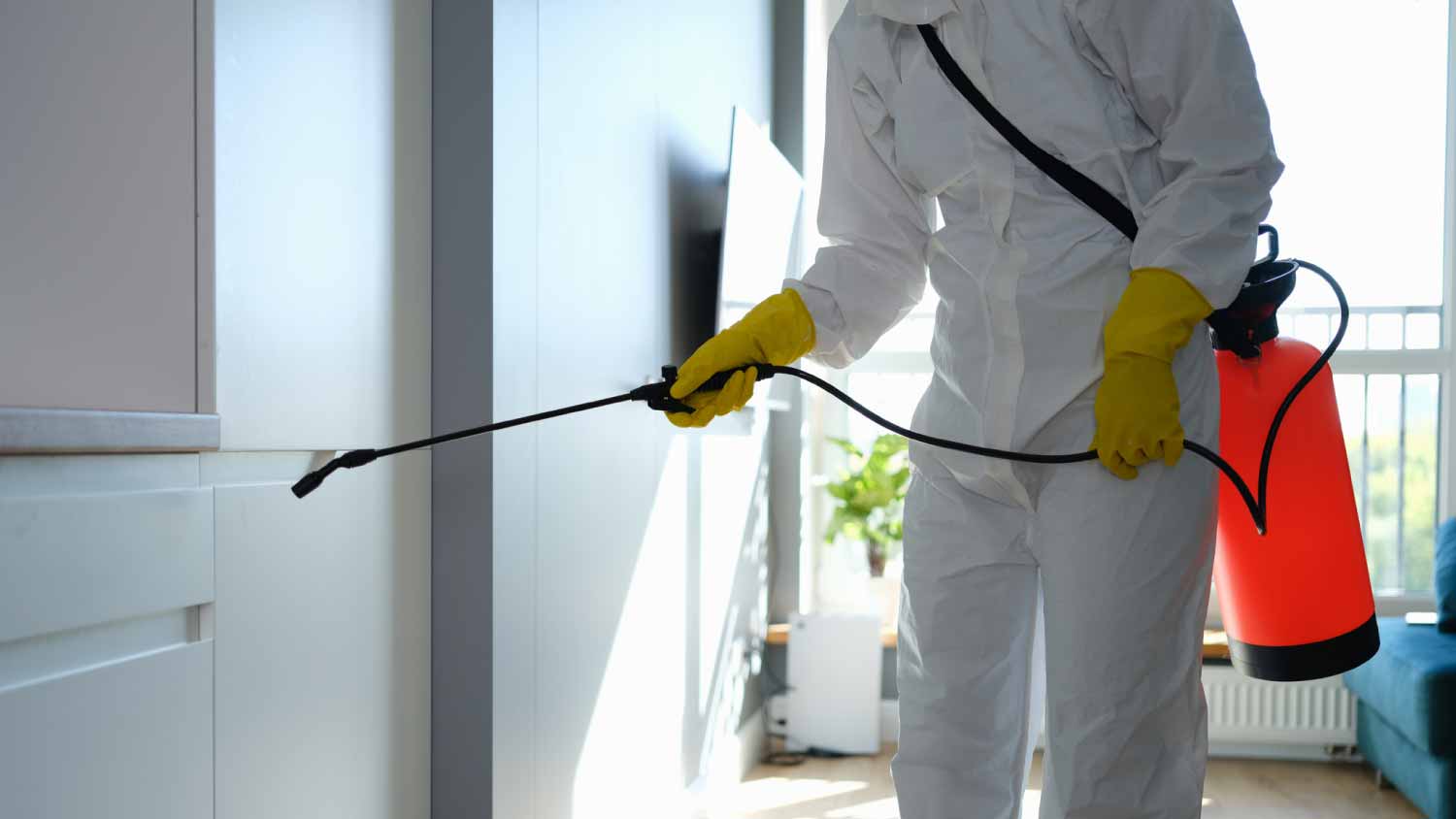 Worker disinfecting apartment
