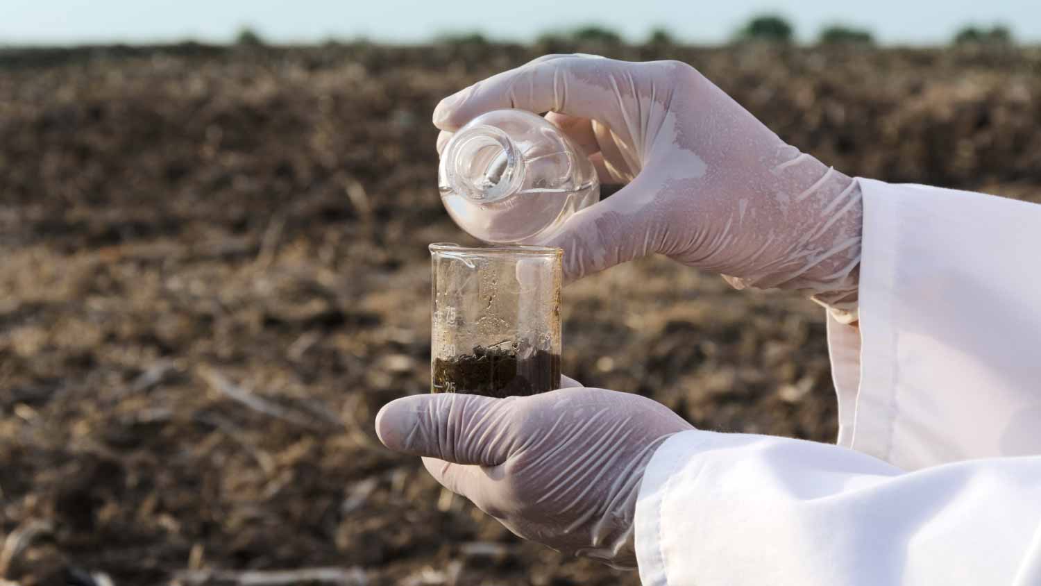 Worker holding glassware and testing black soil