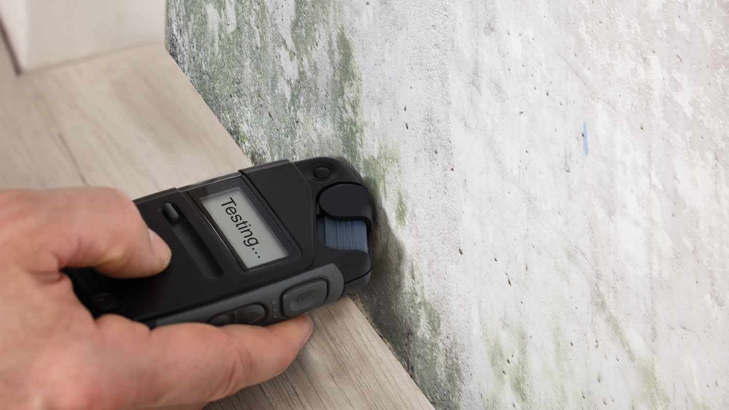 Worker measuring the wetness off a moldy wall