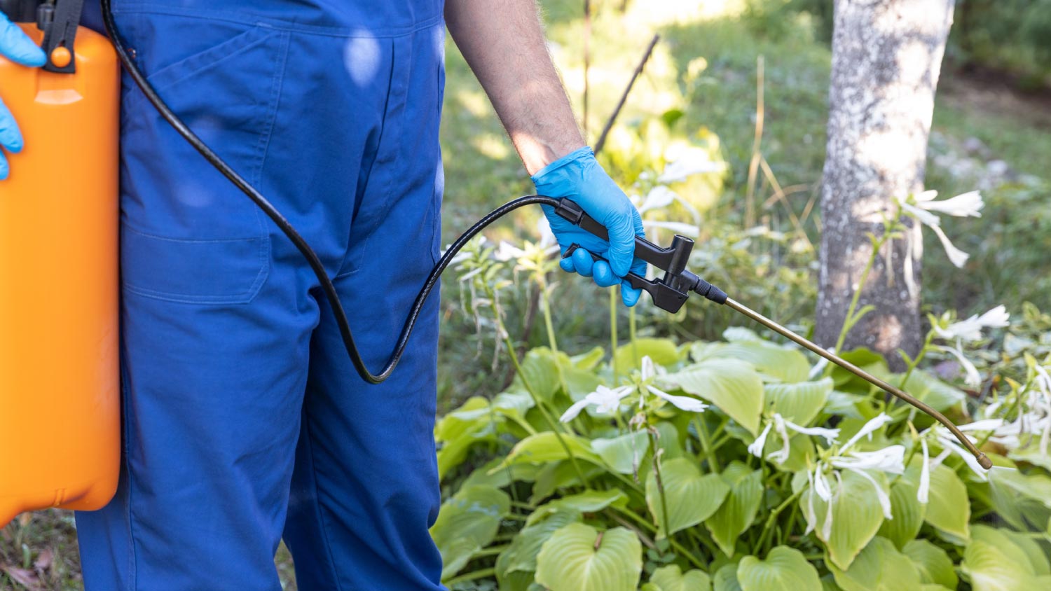 Worker spraying insecticides in the garden