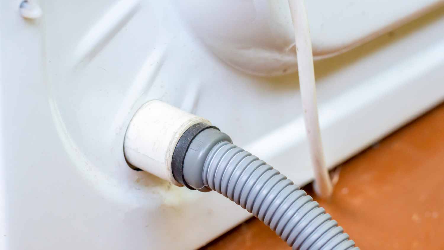 A washing machine drain hose