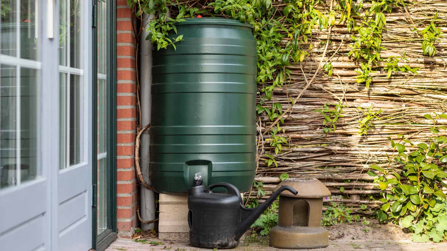 Green rain barrel