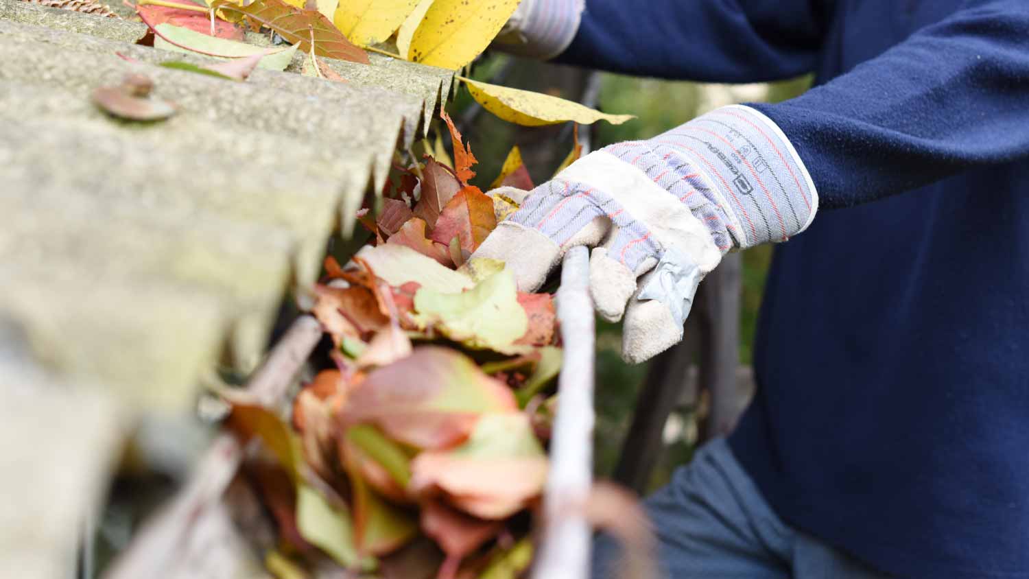 Man cleaning gutter