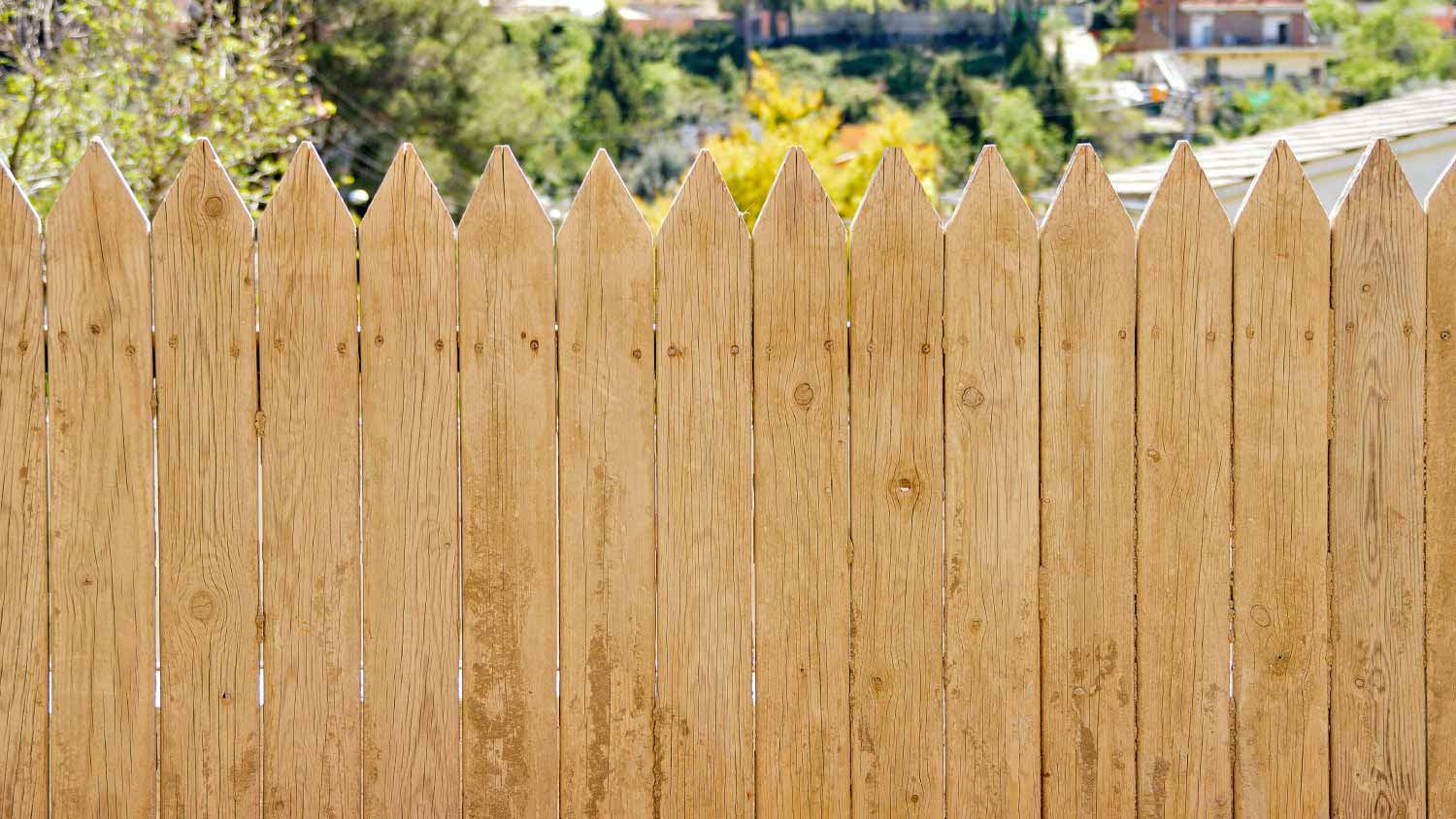 Stockade cedar fence