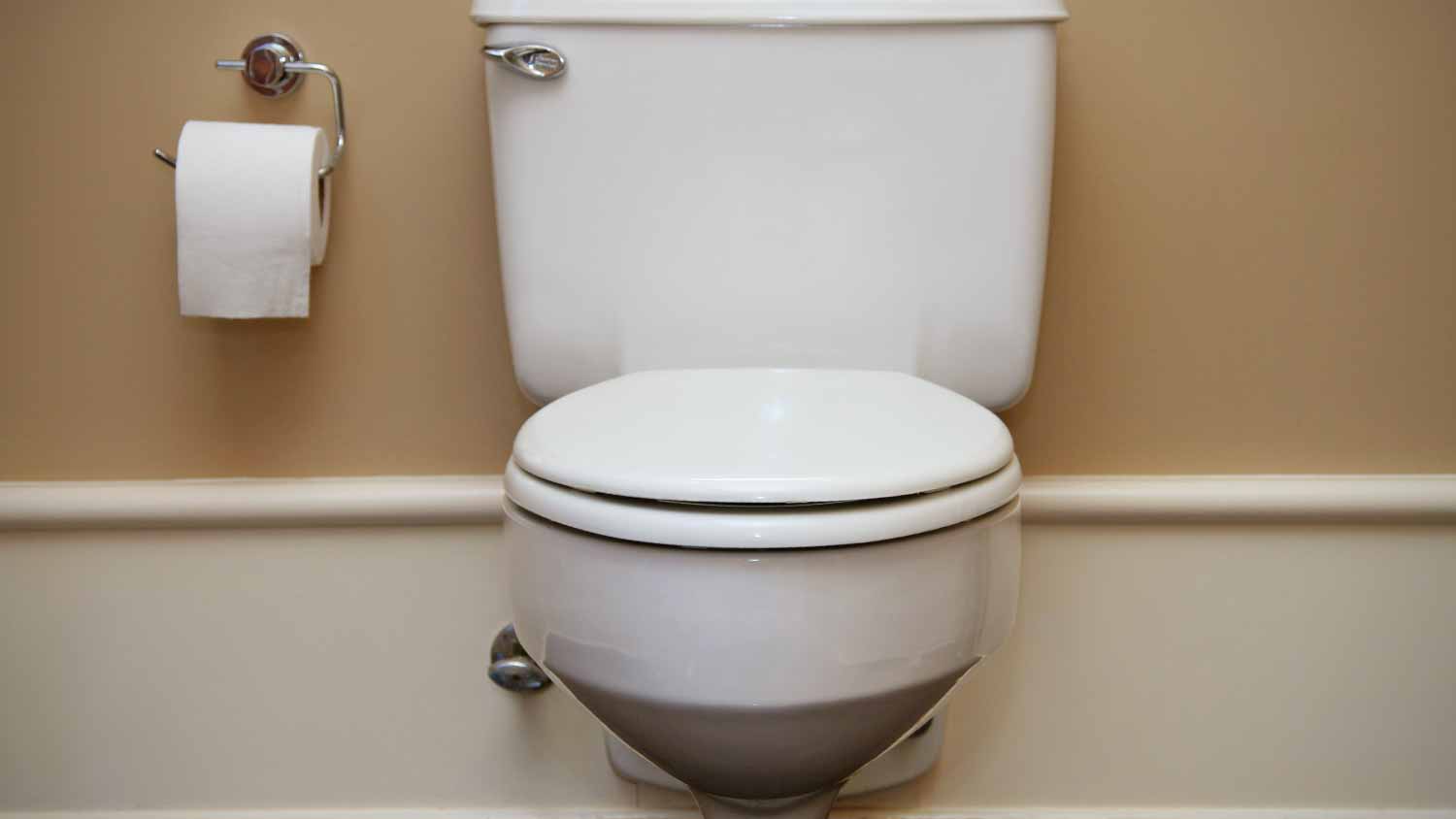 White round toilet bowl