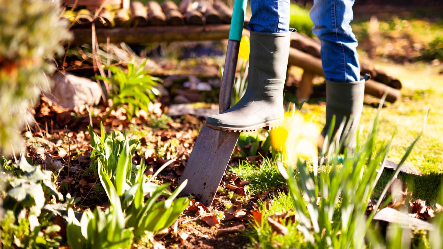 Woman digging a hole in the garden 