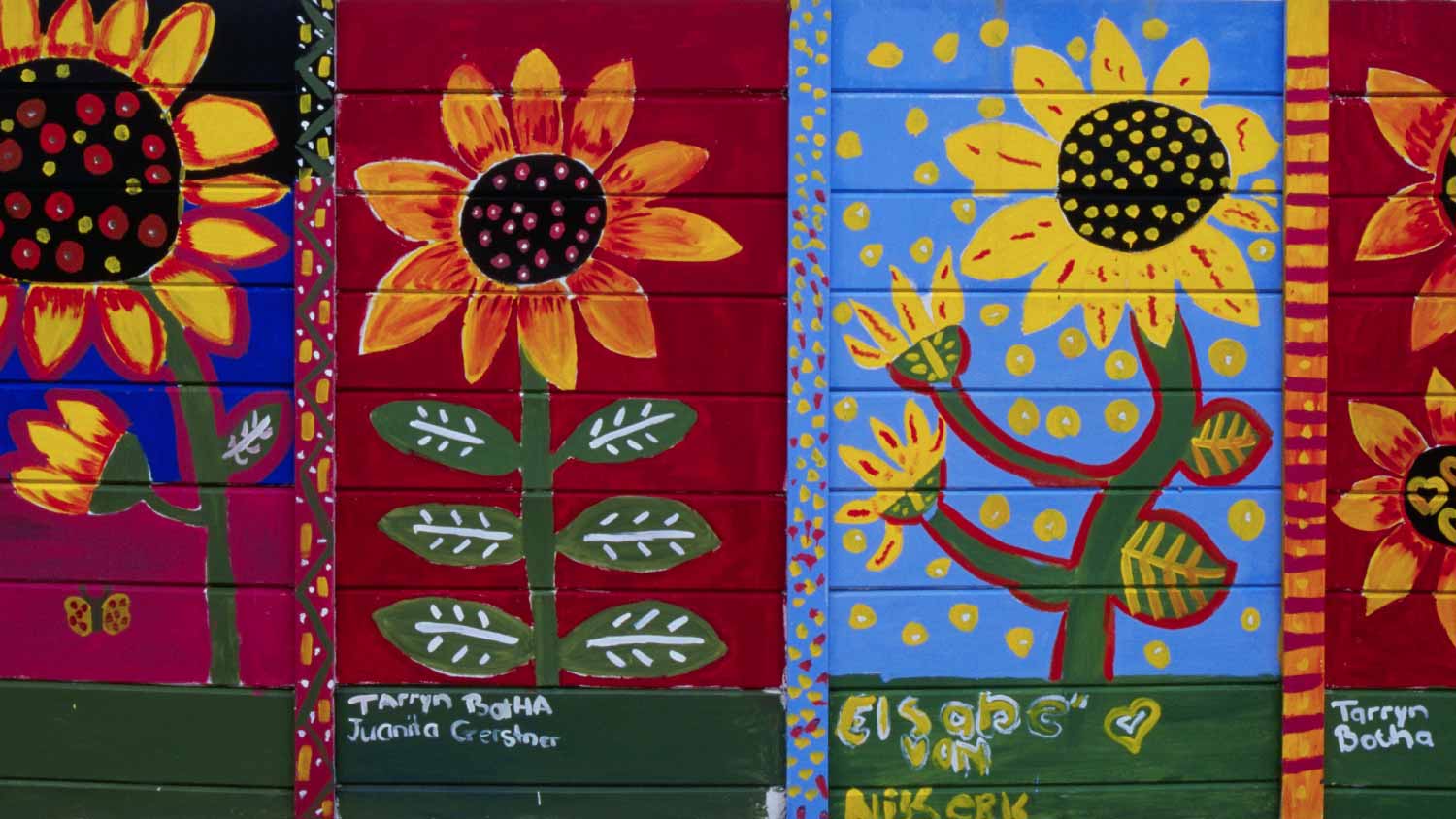 Wooden fence with drawings