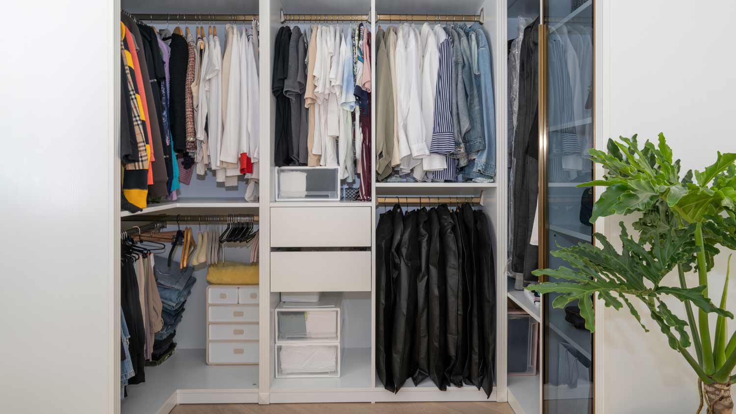 clean built in closet  