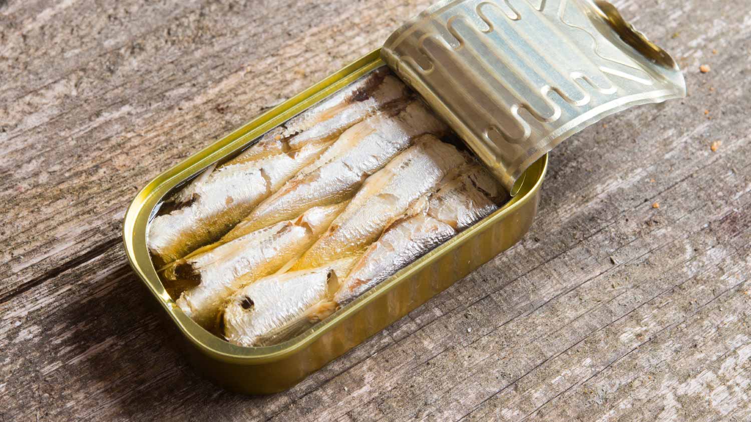 Canned sardines in olive oil