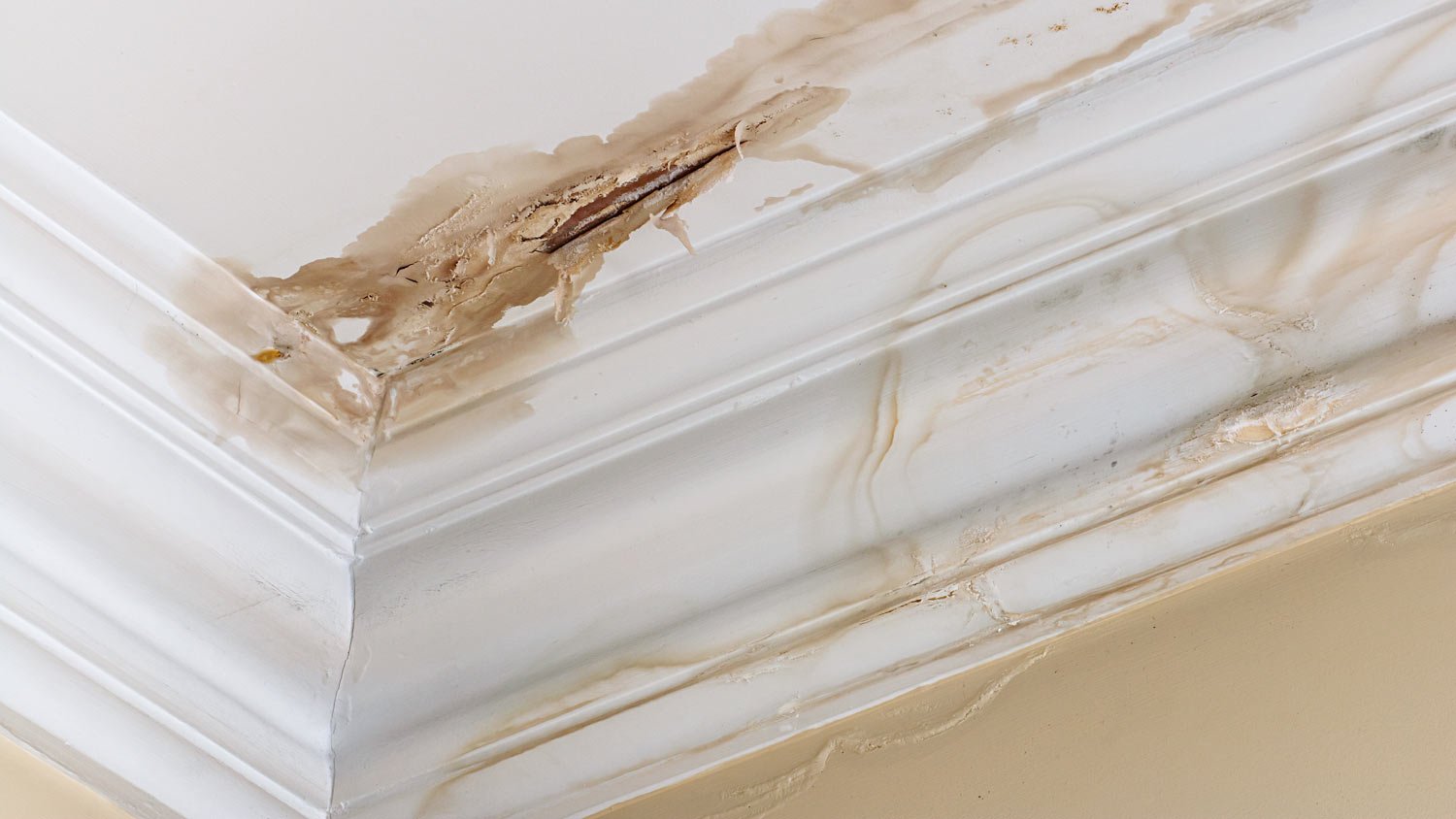 ceiling water damage