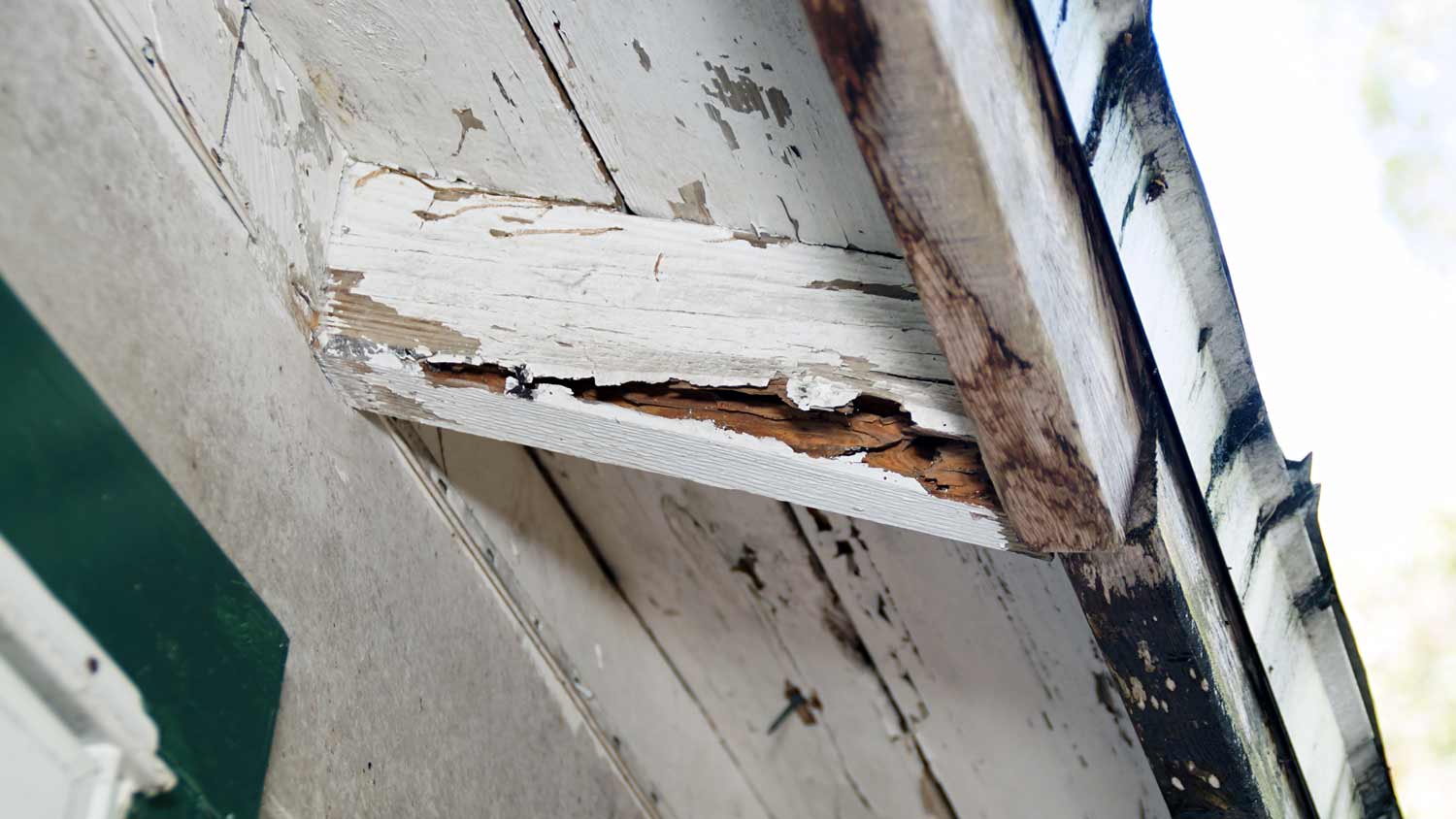 roof of house rotting 