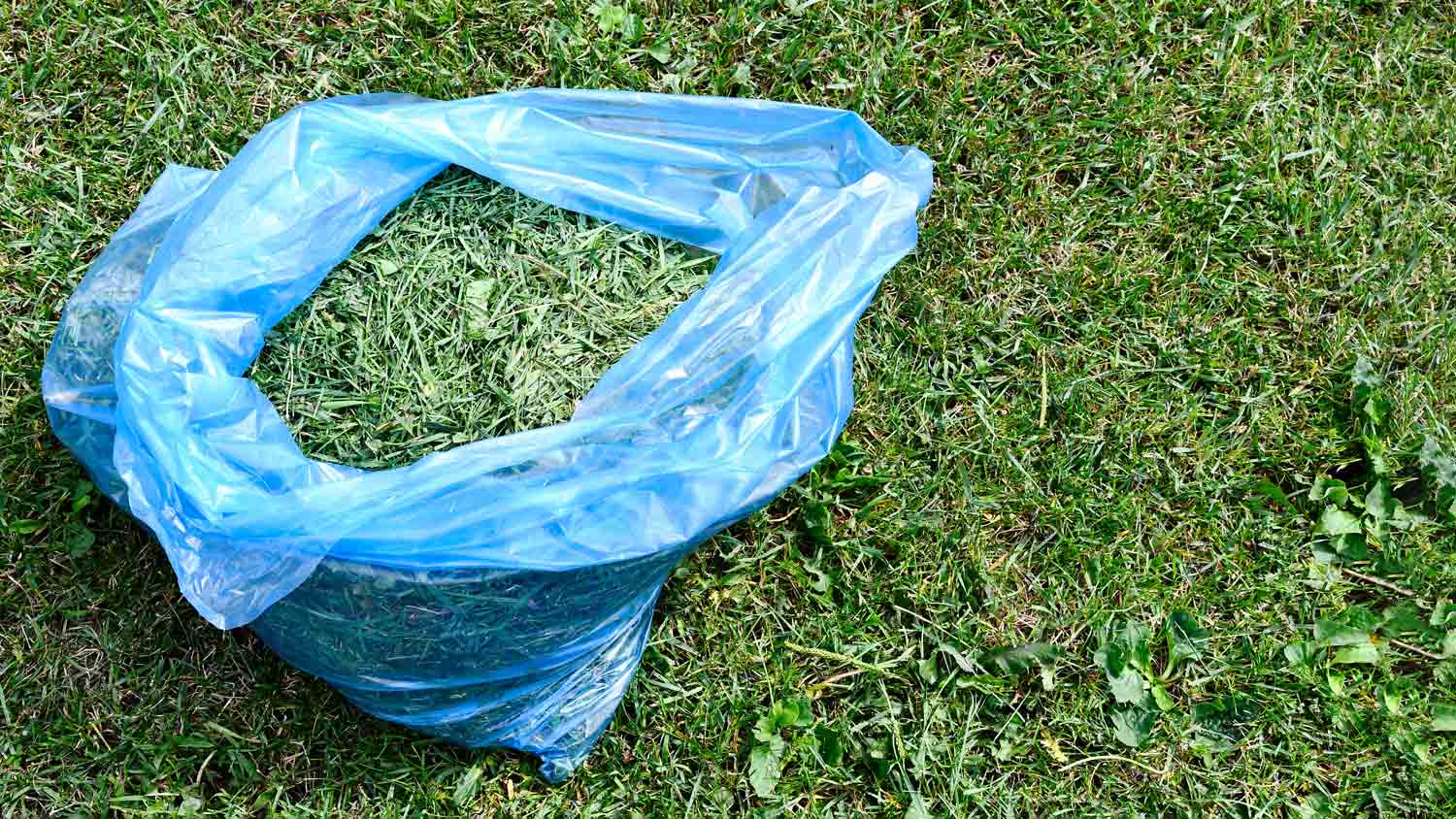 lawn clippings in plastic bag 