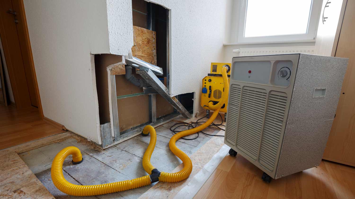 machine to vacuum up puddles