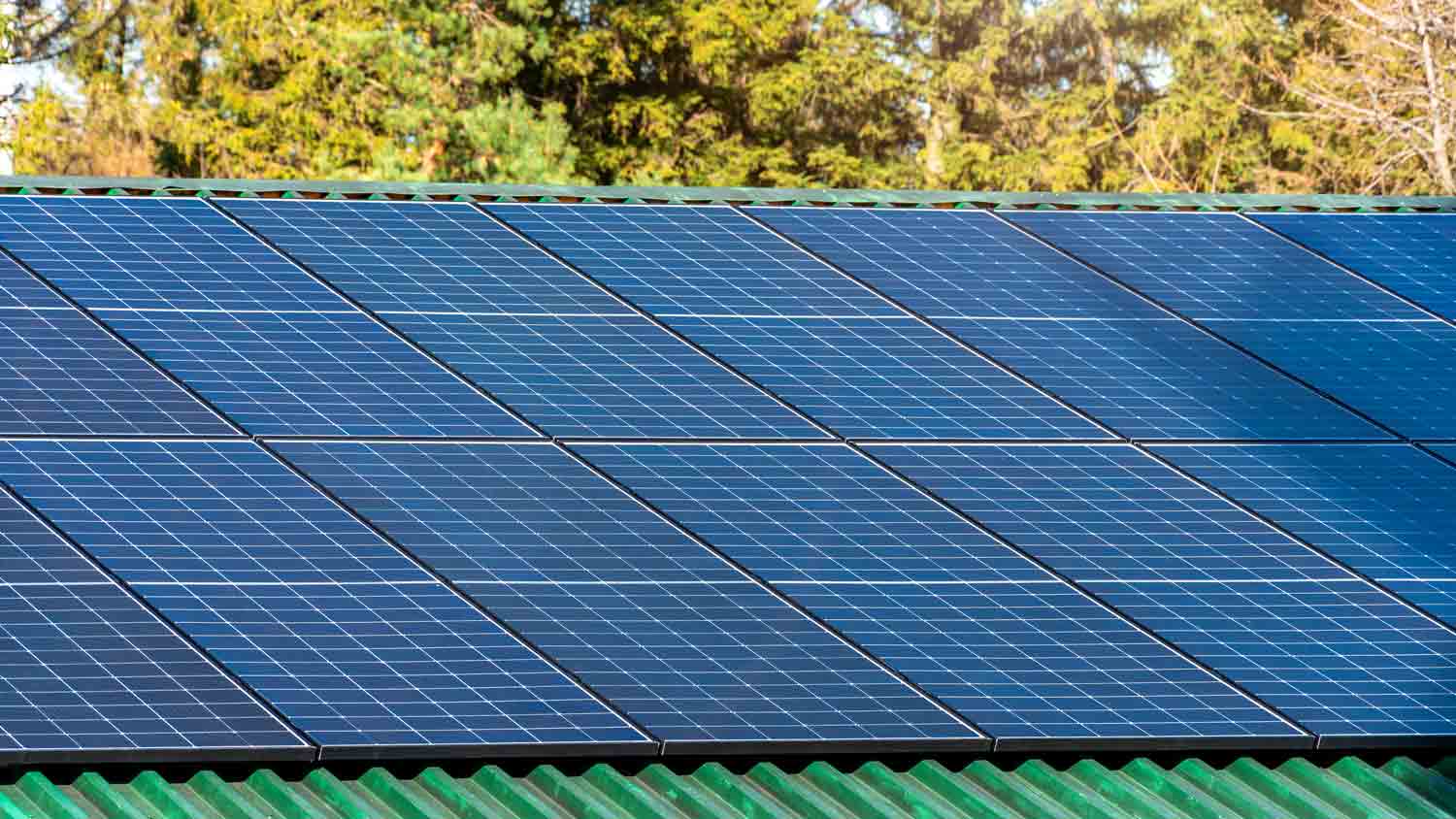 solar panels mounted on green roof