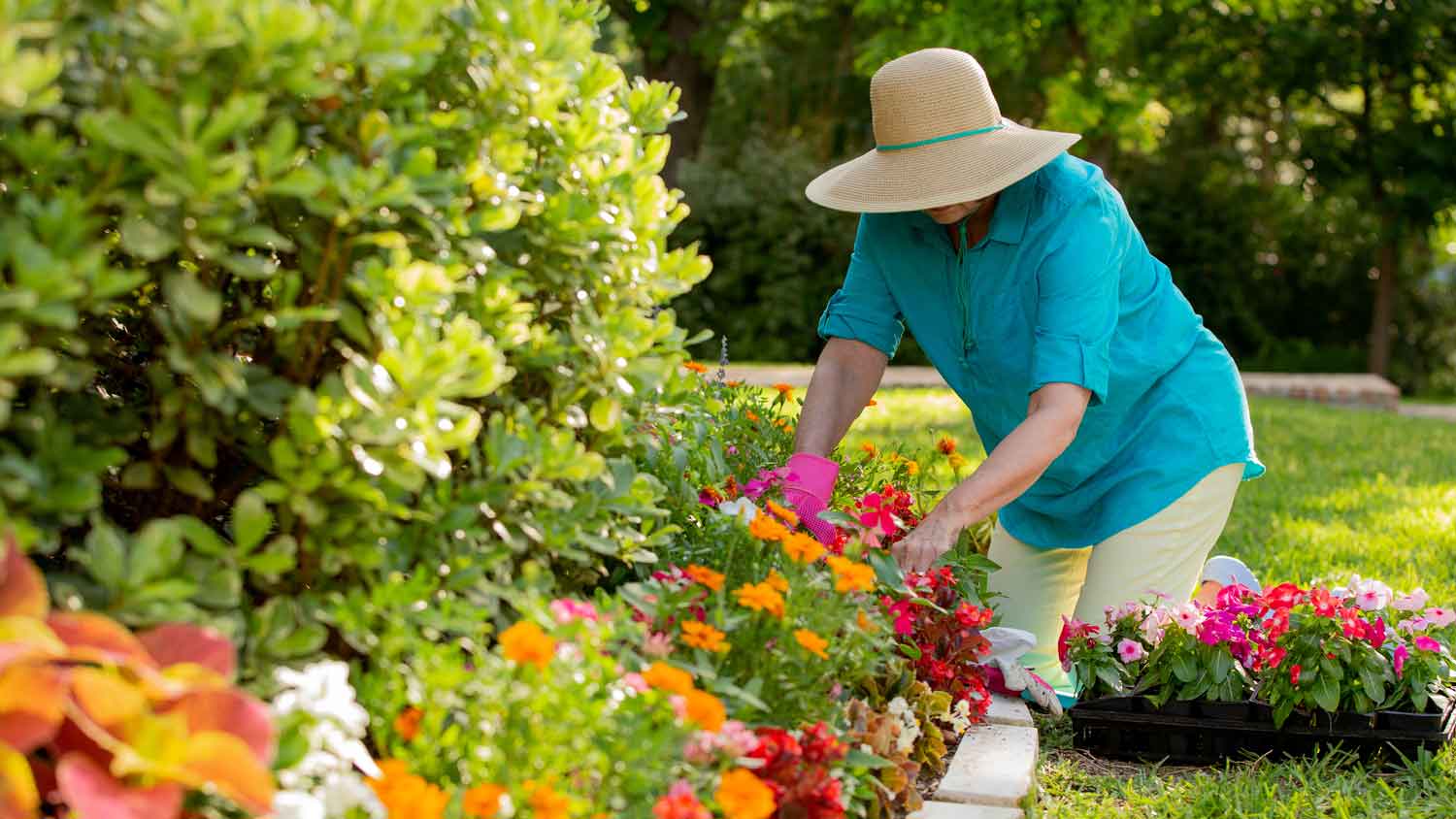 woman planting flowers near home