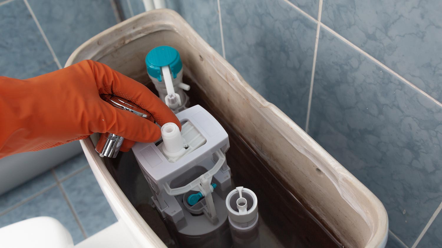 plumber repairs toilet tank