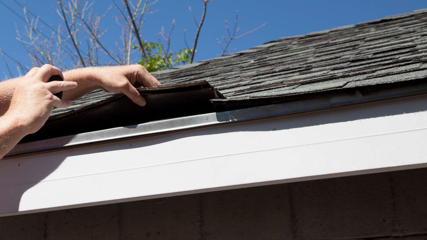 damage roof shingle