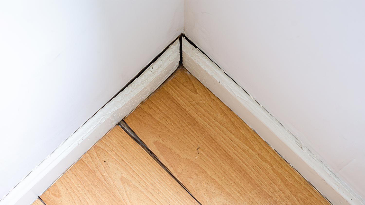 Water damaged floor boards in the corner of a room