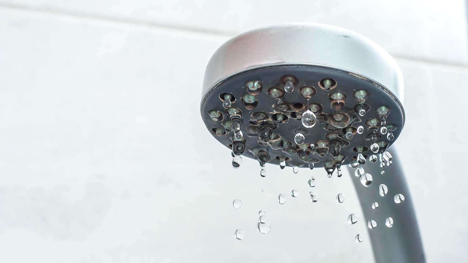Closeup-of-a-leaky handheld showerhead