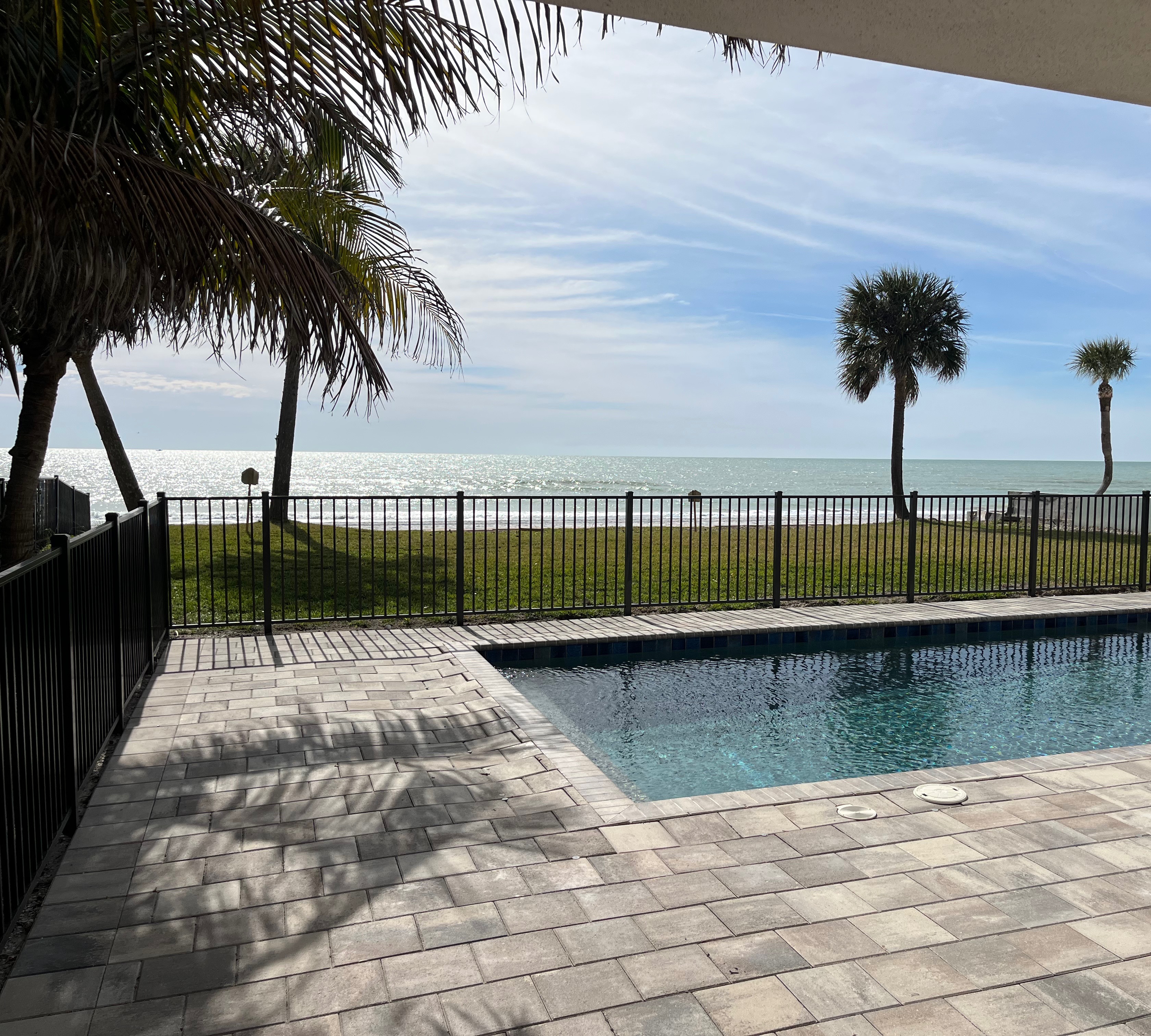 Palm trees next to a beachside pool