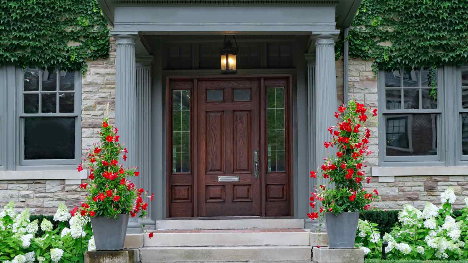 alder wood front door  