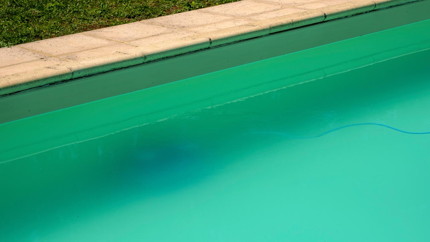 Algae in a swimming pool.