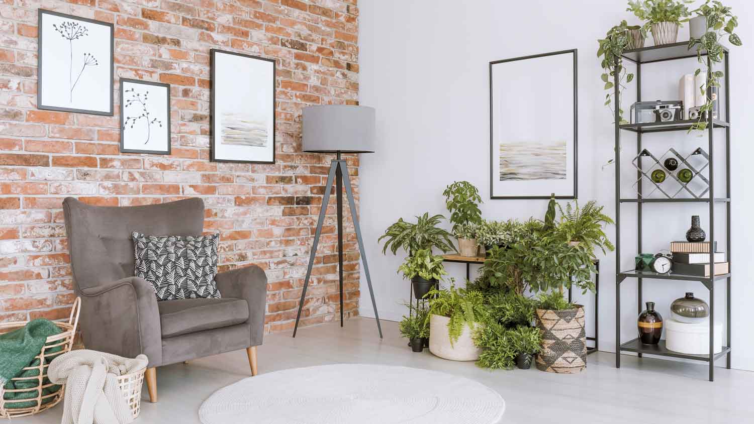 An armchair and a bookcase with a german schmear wall