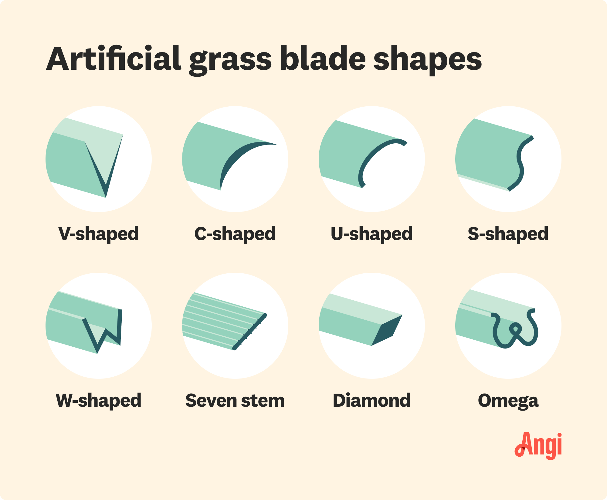 Grass blade shapes, including v-shaped, c-shaped, and u-shaped