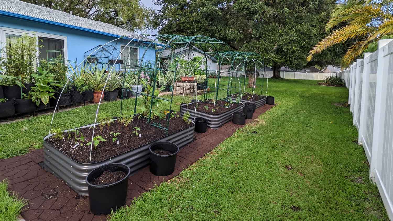 A backyard garden with metal beds