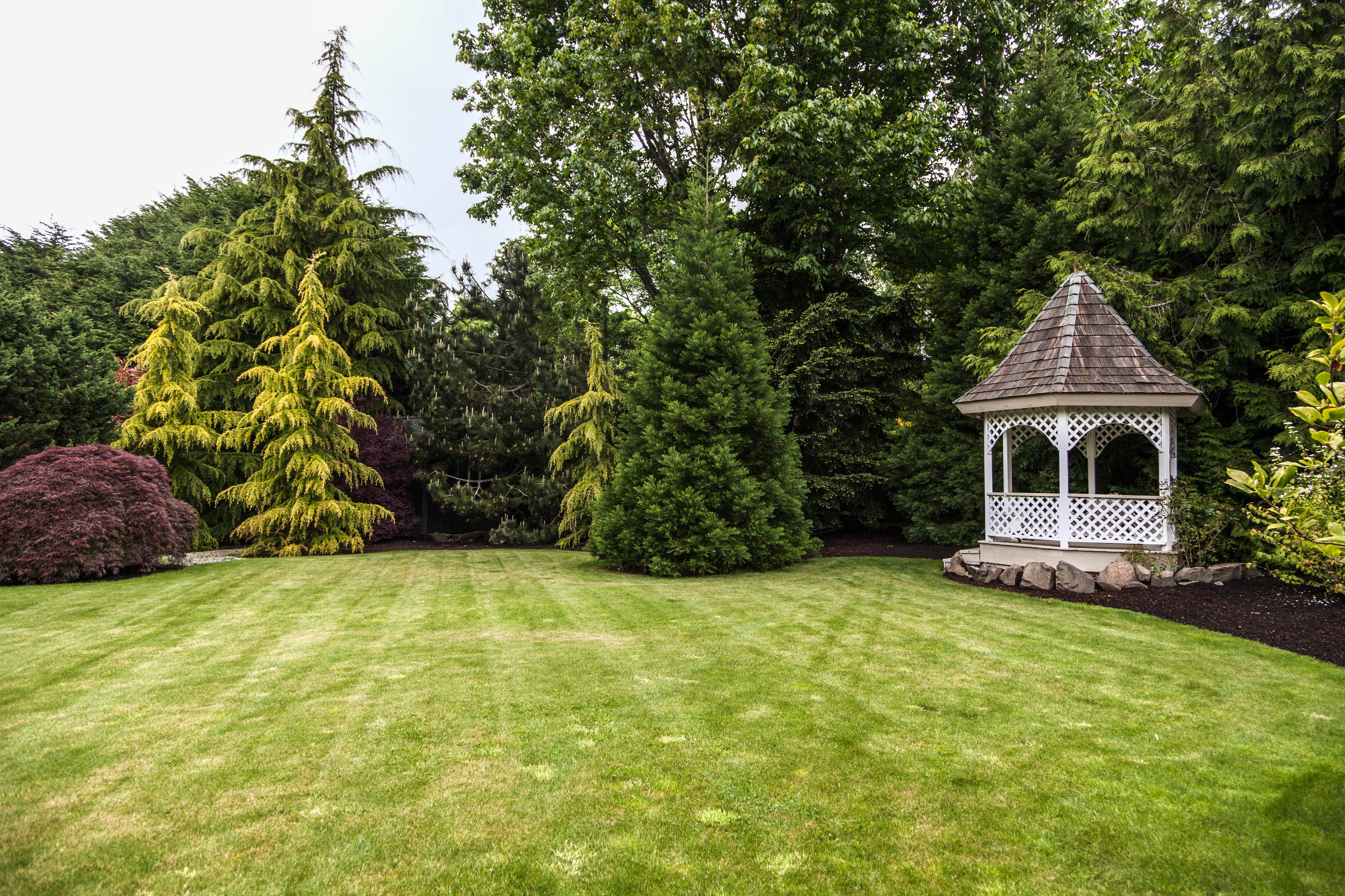 White lattice gazebo in backyard