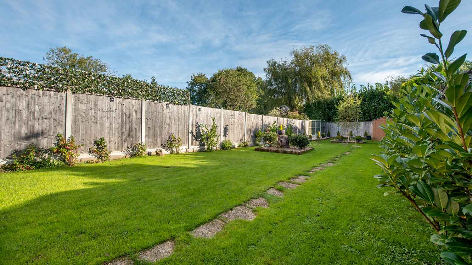 A backyard of a house with lawn