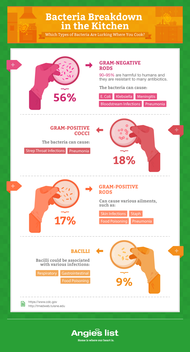 graphic showing types of bacteria in the kitchen